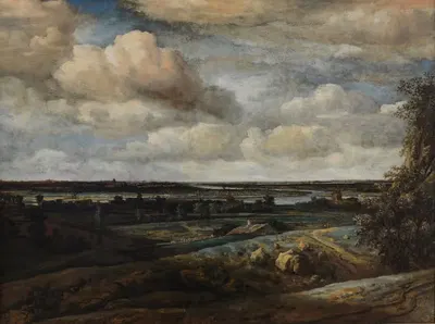 Голландский панорамный пейзаж с дальним видом на Харлем by Филипс Конинк — digital art print download