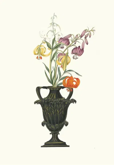 Lilium Pomponium, Lilium Chalcedonicum by Priscilla Susan Bury, 1834 — digital art print download