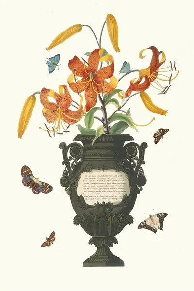 Lilium Tigrinum by Priscilla Susan Bury, 1834 — digital art print download