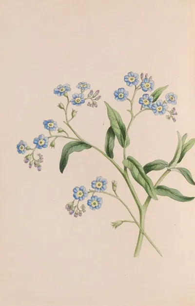 Grass by John Stevens Henslow, 1840 — digital art print download