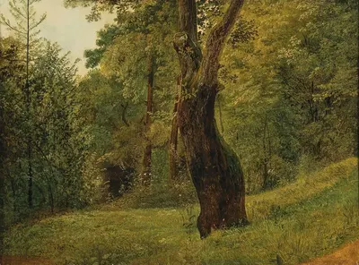 A Tree at the Edge of the Woods by Circle of Friedrich Gauermann — digital art print download