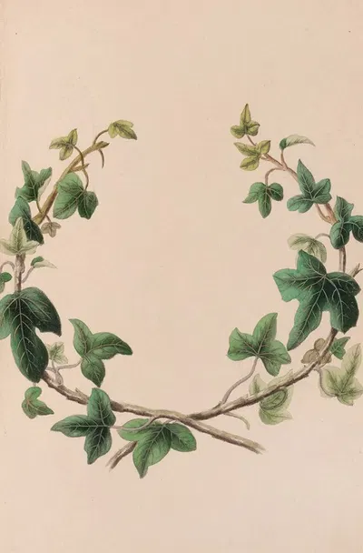 Wreath Of Ivy by John Stevens Henslow, 1840 — digital art print download