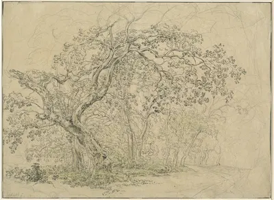 Grove of Trees (verso) by Friedrich Salathé, c. 1835 — digital art print download