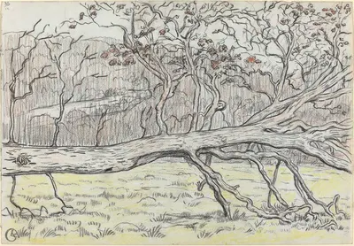 Felled Tree,Normandy by Жорж Лакомб, 1898 — digital art print download