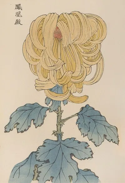 Keika hyakugiku, Pl.07 by Keika Hasegawa, 1893 — digital art print download