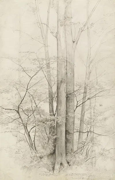A Stand of Trees by Генрих Дребер, 1840 — digital art print download