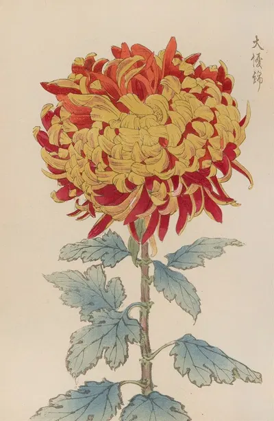 Keika hyakugiku, Pl.12 by Keika Hasegawa, 1893 — digital art print download