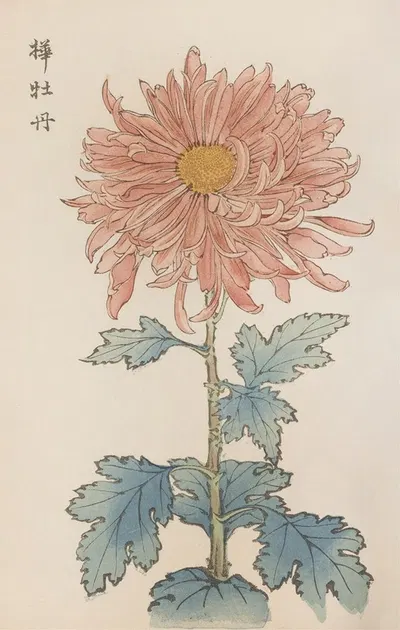 Keika hyakugiku, Pl.15 by Keika Hasegawa, 1893 — digital art print download