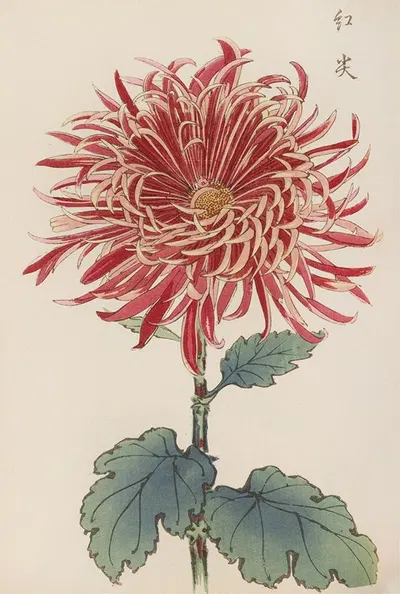 Keika hyakugiku, Pl.27 by Keika Hasegawa, 1893 — digital art print download