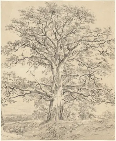 A Great Oak Tree by John Constable, c. 1801 — digital art print download