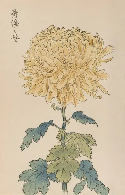Keika hyakugiku, Pl.33 by Keika Hasegawa, 1893 — digital art print download