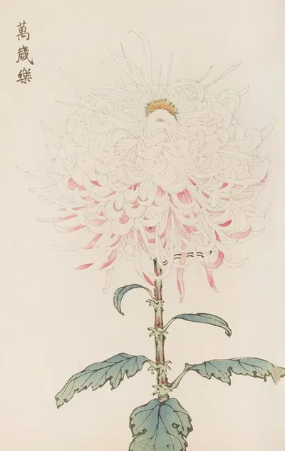 Keika hyakugiku, Pl.38 by Keika Hasegawa, 1893 — digital art print download