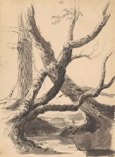 Tree Trunks by Томас Коул, 1825-1840 — digital art print download