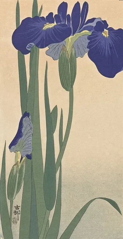 Blue Irises by Ohara Koson, 1900 - 1930 — digital art print download