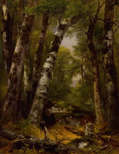 Woodland Glen by Asher Brown Durand — digital art print download