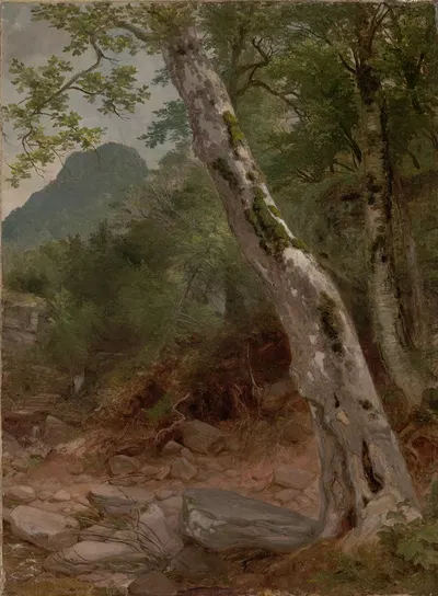 A Sycamore Tree, Plaaterkill Clove (The Sycamore, Kaaterskill Clove) by Asher Brown Durand — digital art print download
