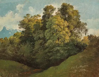 Зальцбург, деревья на фоне Унтерсберга by Фридрих Целлер, 1852 — digital art print download