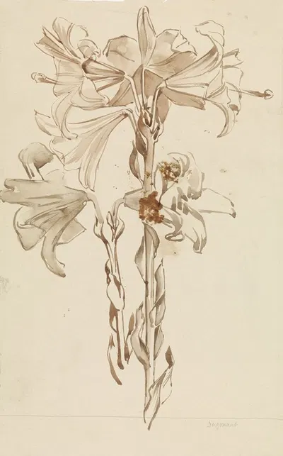 Studieblad met twee takken lelies by Антон Деркиндерен, 1869 - 1925 — digital art print download