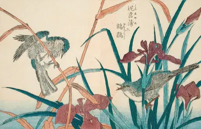 Reed Warbler with Reeds and Iris by Kitao Shigemasa — digital art print download