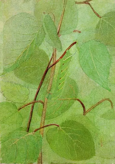 Sphinx Caterpillar, study for book Concealing Coloration in the Animal Kingdom by Аббот Хандерсон Тейер — digital art print…