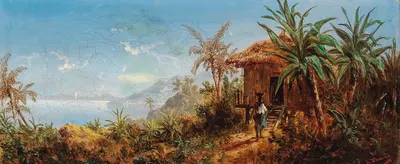 Landscape Study of South America by Josef Thoma — digital art print download