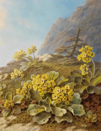 'Primula auricula', Cowslips by Pauline Halm-Flechner, 1912 — digital art print download