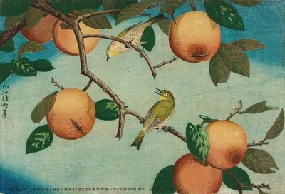 Persimmons and White-Eyes by Кобаяси Киёчика, 1880 — digital art print download