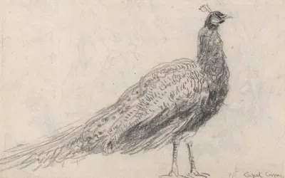 Peacock at Capel Curig by David Cox — digital art print download