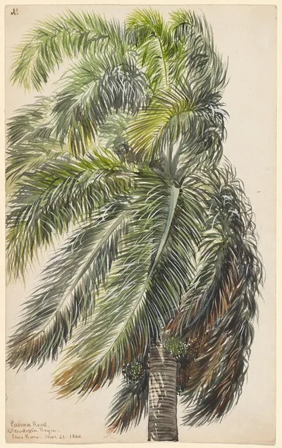 Palma Real by Чарльз де Вольф Браунелл, 1860 — digital art print download