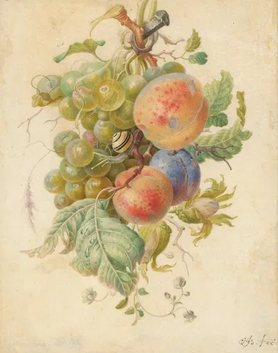 Festoen van vruchten by Herman Henstenburgh, 1677 — digital art print download