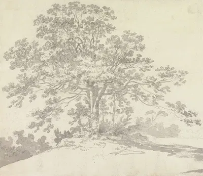 Tree by George Howland Beaumont — digital art print download