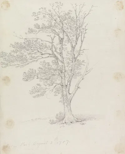 Tree at Easton Park by Джордж Хоуленд Бомонт, 1787 — digital art print download