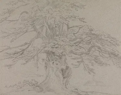 Tree Study by Джордж Хоуленд Бомонт, 1807 — digital art print download
