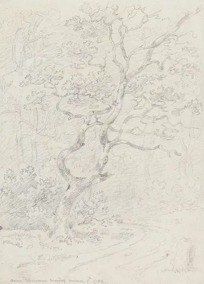 Trees, Near Lausanne by Джордж Хоуленд Бомонт, 1782 — digital art print download
