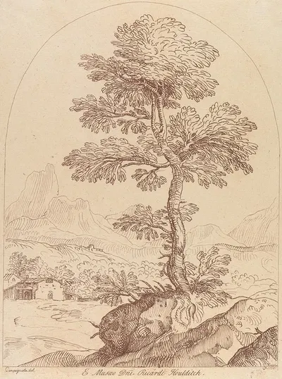 Pastoral scene with tree by Джордж Кнаптон, 1740 — digital art print download