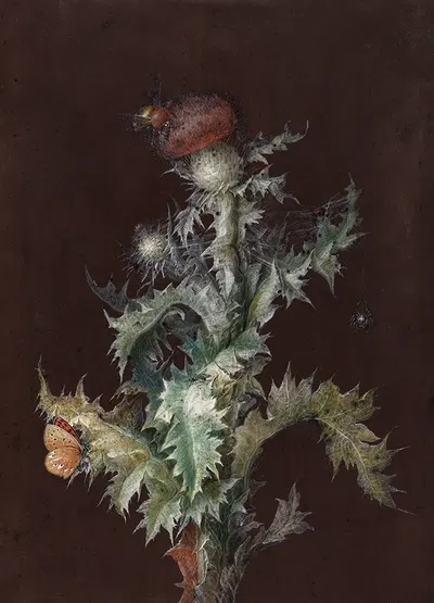 Thistle with Insects by Иоганн Кристоф Дицш, c. 1755 — digital art print download