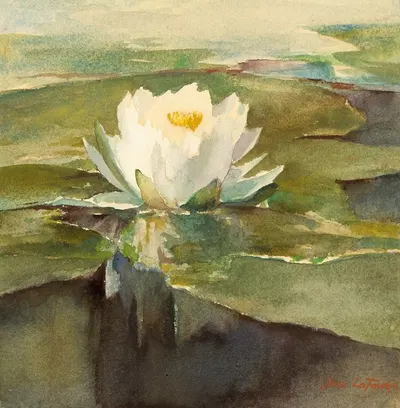 Water Lily in Sunlight by Джон Ла Фардж — digital art print download