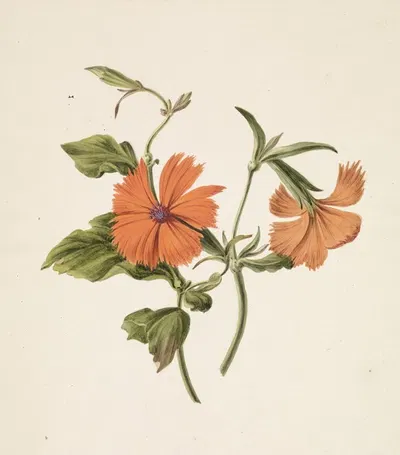Gele Chinese roos (Rosa Chinensis Lutea) by M. de Gijselaar — digital art print download