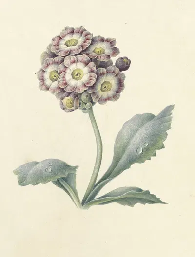 Bloemenstudie by Maria Margaretha van Os, 1823 — digital art print download
