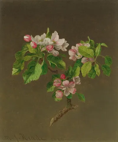 Apple Blossoms by Мартин Джонсон Хид, 1880 — digital art print download
