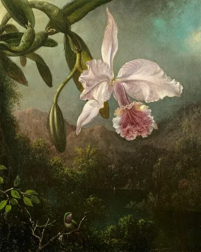 Orchid Blossoms by Мартин Джонсон Хид, 1873 — digital art print download