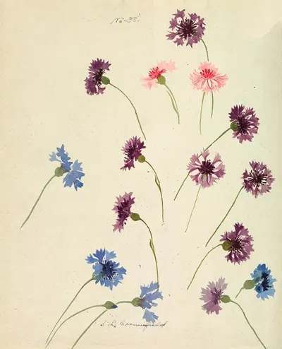 Cornflowers by Sophia Louise Crownfield — digital art print download