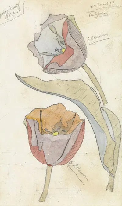Tulpen by Theo Colenbrander — digital art print download