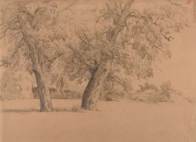 Enclos avec deux arbres by Jacques-Raymond Brascassat — digital art print download