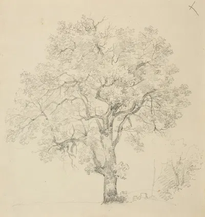 Étude d'arbre.. by Жак-Раймон Брассас — digital art print download