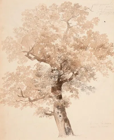 Étude d'arbre by Jacques-Raymond Brascassat — digital art print download