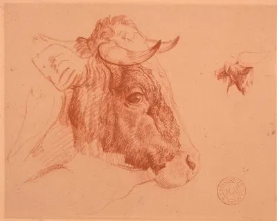 Étude de tête de bœuf by Jacques-Raymond Brascassat — digital art print download