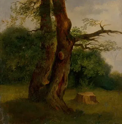 Изучение лиственного дерева by Йозеф Божетех Клеменс, 1860–1870 — digital art print download
