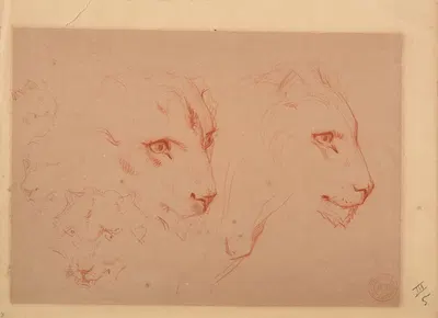 Études de têtes de lions by Jacques-Raymond Brascassat — digital art print download