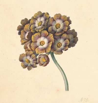 Bloemenstudie by Maria Margaretha van Os, 1790 — digital art print download